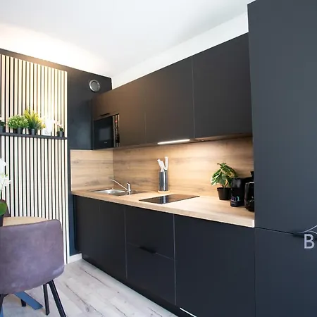 Sunny Flat In Les Pins Apartment *