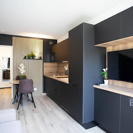 公寓 Sunny Flat In Les Pins